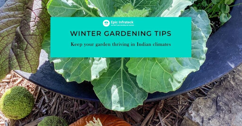 Your Guide to a Thriving Garden in Indian Climates